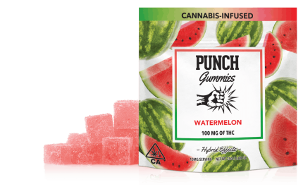 PUNCH GUMMIES- WATERMELON