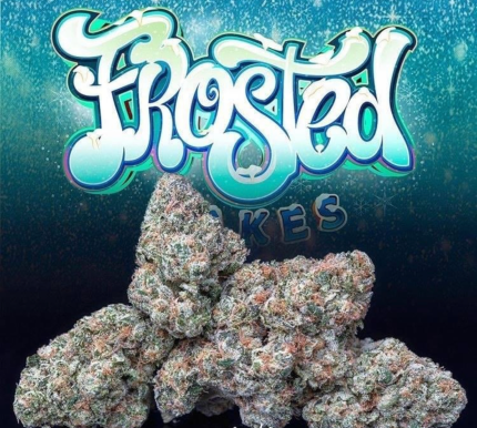 FROSTED CAKES JUNGLEBOYS