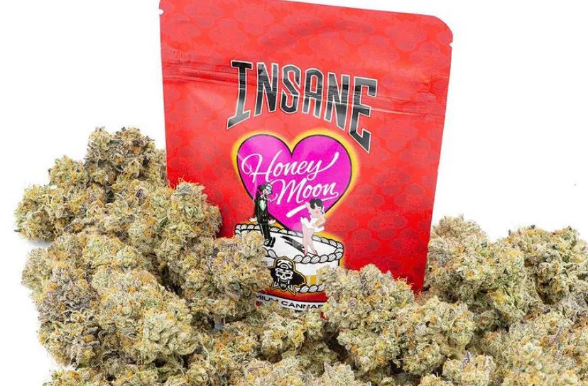 HONEY-MOON-ISANE.webp