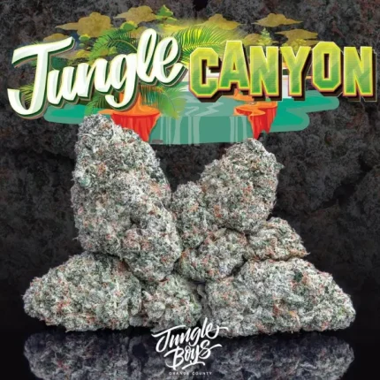 TOPANGA CANYON STRAIN
