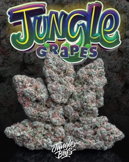MODIFIED GRAPES STRAIN