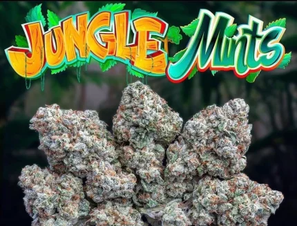 KUSH MINTS STRAIN