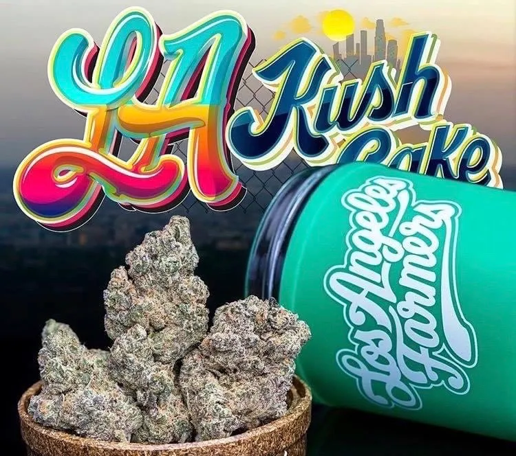 LA-KUSH-CAKE-JUNGLEBOYS.webp