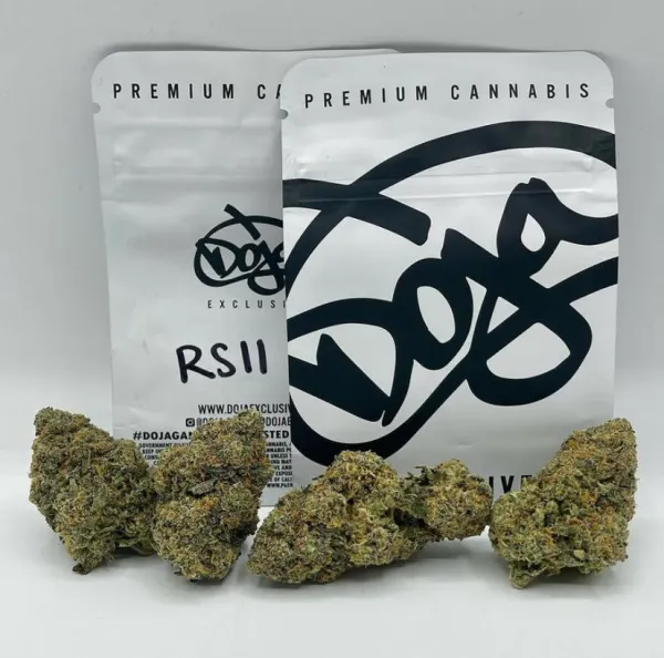 RSII-DOJA.webp
