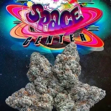 SPACE CENTER STRAIN