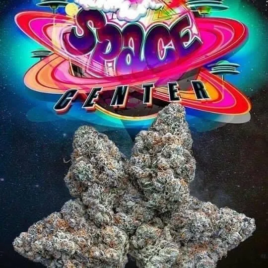 SPACE-CENTER-JUNGLEBOYS.webp