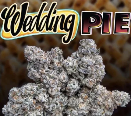 WEDDING PIE STRAIN
