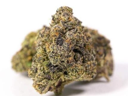 SFV OG Kush Strain On Sale Now