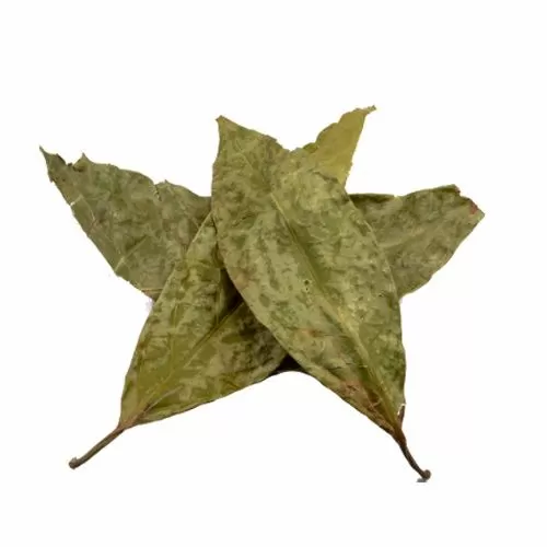 chaliponga-leaves.webp