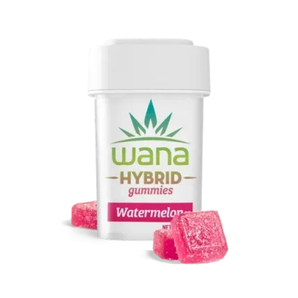 WATERMELON (REC) // HYBRID