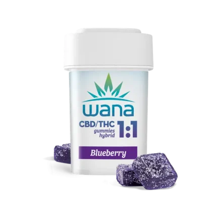 BLUEBERRY (REC) // 1:1 CBD/THC