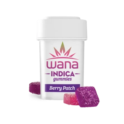 BERRY PATCH (REC) // INDICA