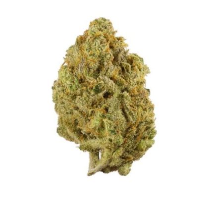 Lemon Haze Strain