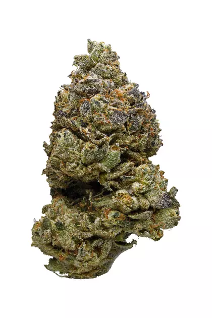 PURPLE CANDY- 3.5g