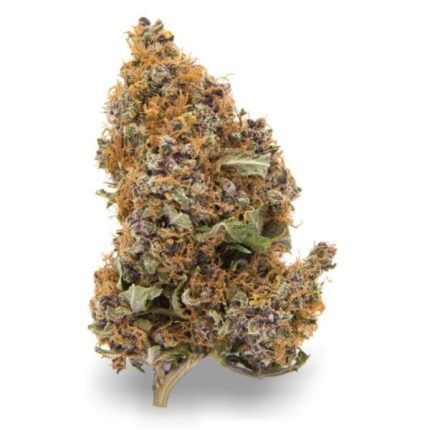 Purple Haze