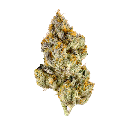 Lemon Cherry Gelato- 3.5G