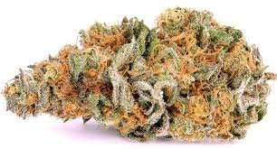 Train Wreck Weed